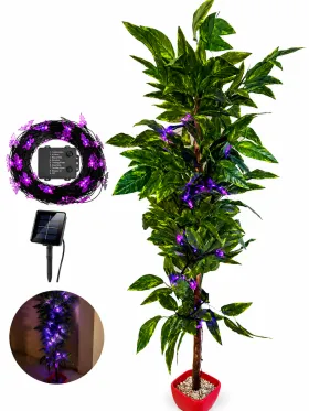 إنارة ديكورية شمسية LED للحدائق